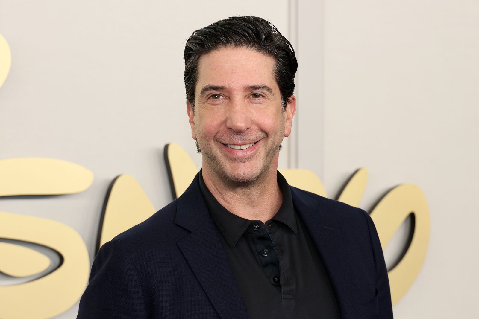 Image may contain David Schwimmer Head Person Dimples Face Happy Smile Adult Clothing Formal Wear and Suit