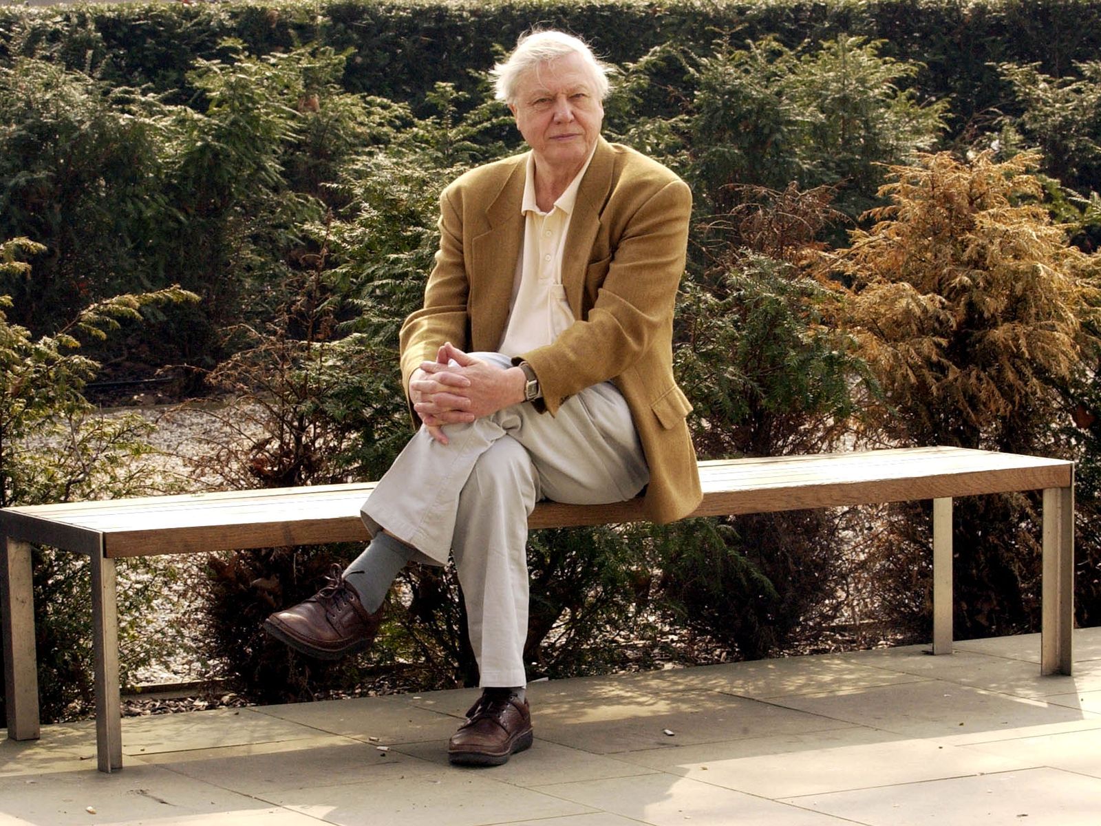 David Attenborough at 100: The Richmond Home He Has Called His Favourite Place for 70 Years