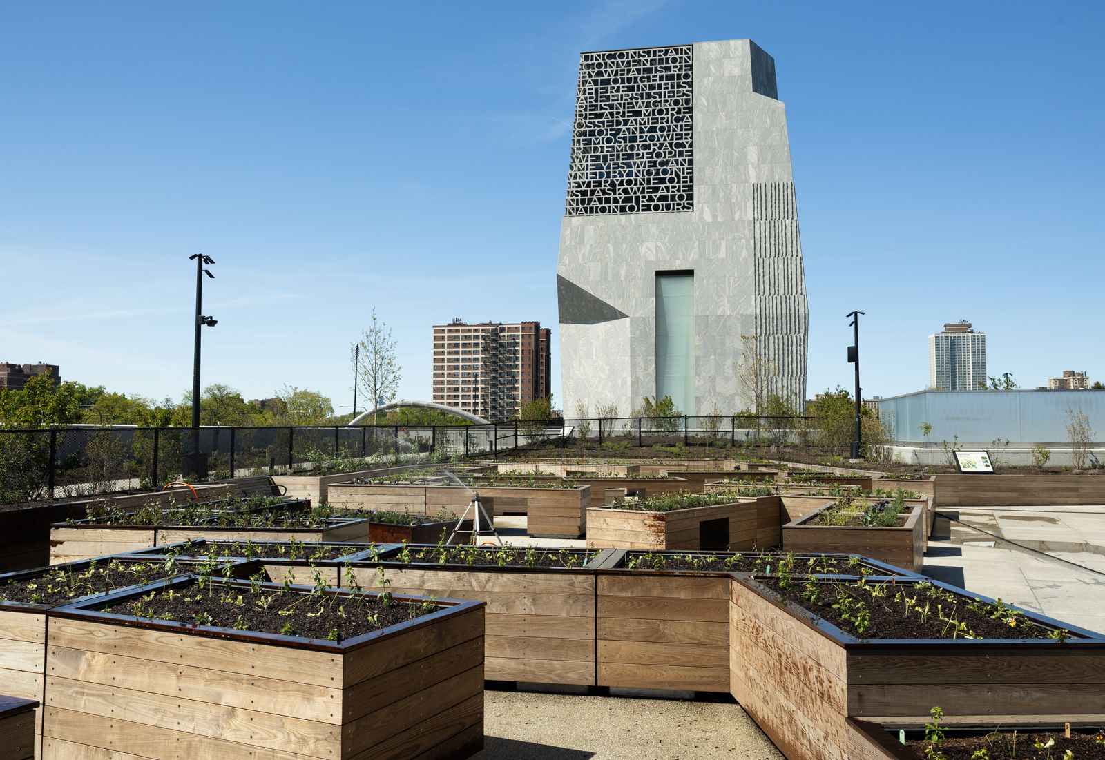 Eleanor Roosevelt Fruit  Vegetable Garden at The Obama Presidential Center Museum in Chicago