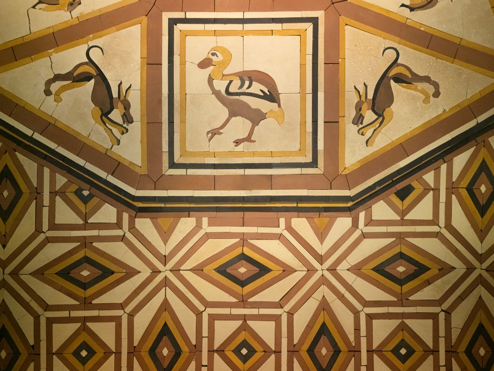 Image may contain Tile Floor Animal and Bird